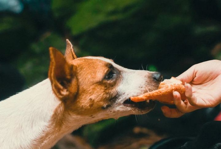 Appetite May Decrease