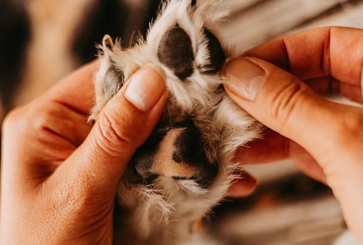 Grooming Becomes Harder