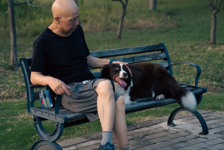 Dogs Can Help Reduce Feelings Of Loneliness