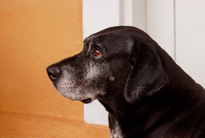 Aging Together Brings Emotional Complexity
