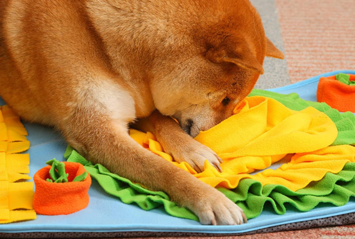 Snuffle Mat Foraging