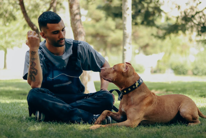 Deep Loyalty Creates A Velcro Dog