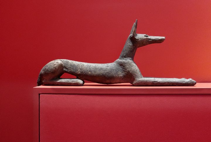 The Jackal-Headed God Of Mummification