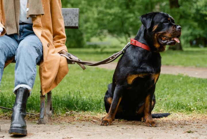 Relocation Notification Rules For Breed Owners