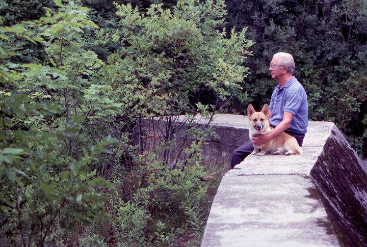 Canine Companions Ease Symptoms Of Anxiety And Depression