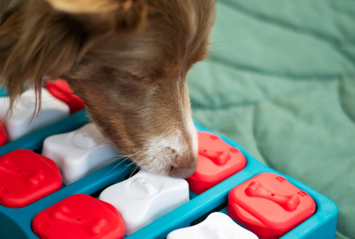 Treat-Filled Puzzle Toys
