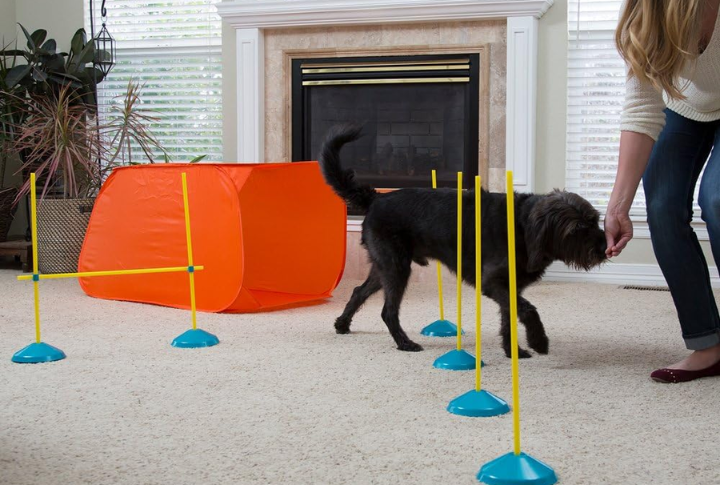 Gentle Obstacle Course