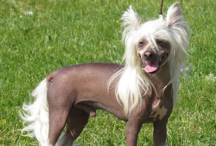 Prone To Missing Teeth