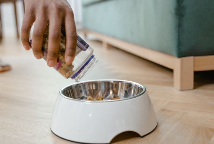 Choose Stainless Steel Bowls Over Plastic
