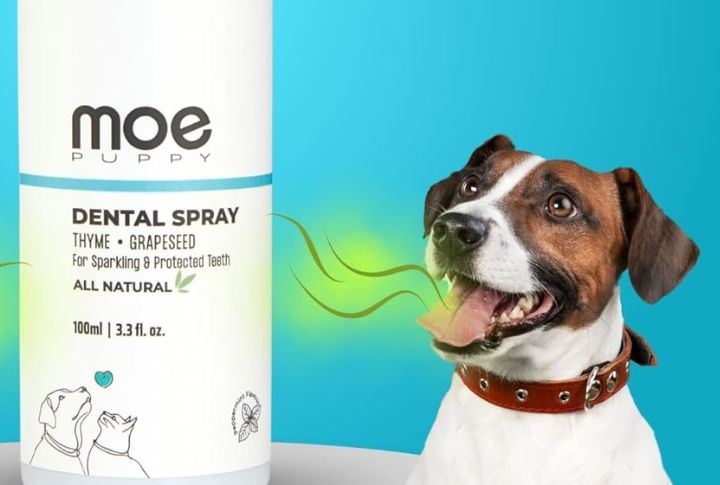 Use Dog-Safe Dental Sprays 