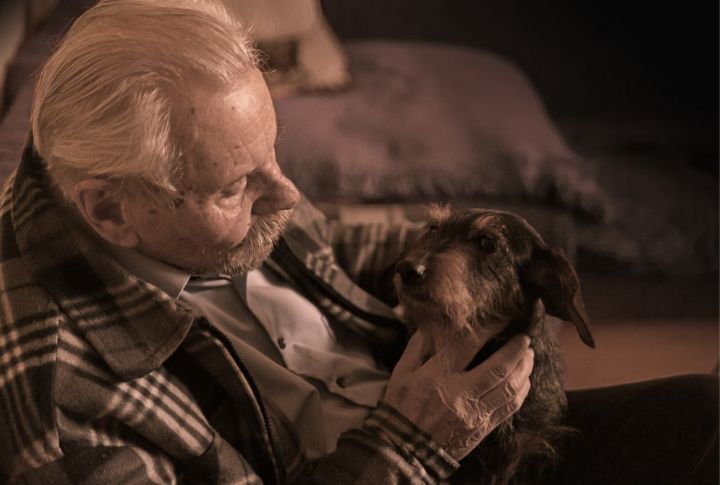 Emotional Bonding With Dogs Supports Cognitive Health