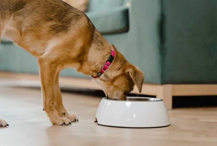 Individualized Feeding And Medication Plans