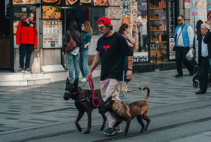 Respect Their Space During Walks