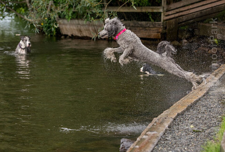 Unusually Water-Friendly