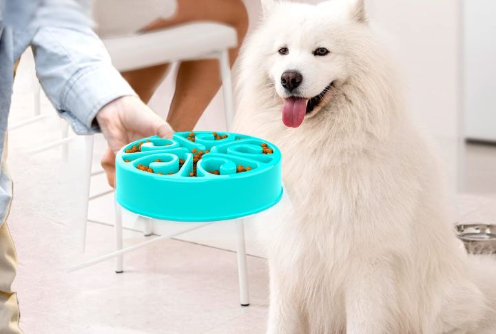 Eats With Enthusiasm