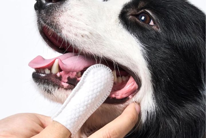 Incorporate Dental Wipes