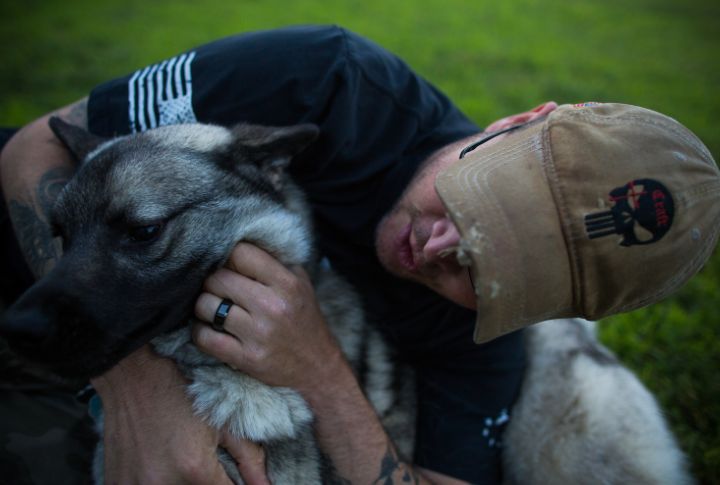Share Elkhound Success Stories 