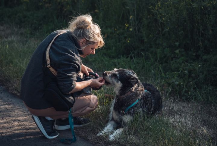 Dogs Provide A Strong Sense Of Purpose