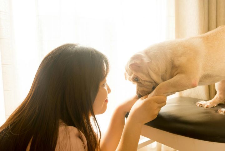 Stay Calm During Unexpected Dog Behavior