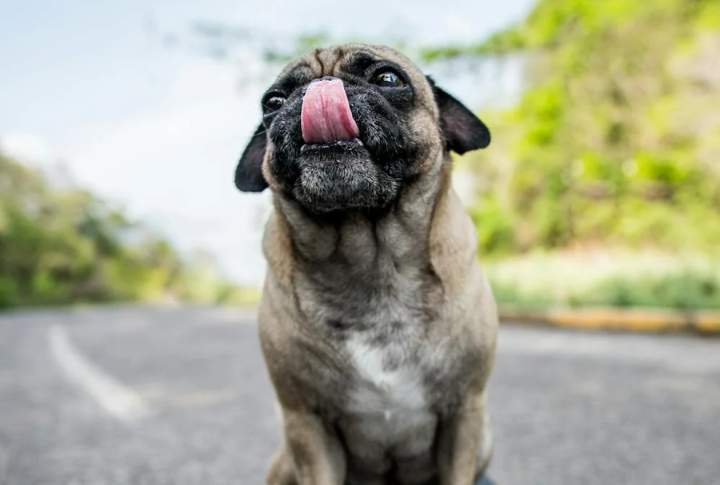 Allergies And Sensitivities