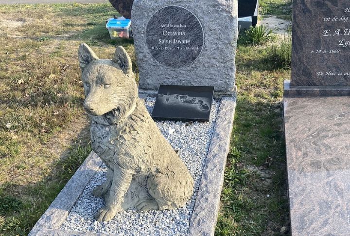 Named And Cherished Like Family