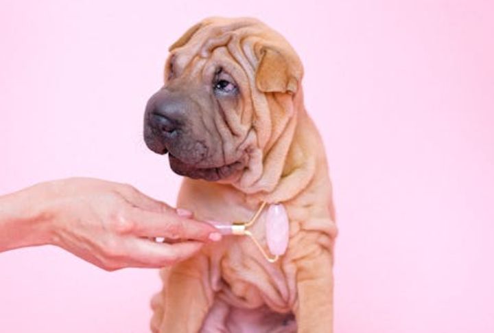 Clean Wrinkles And Folds Daily