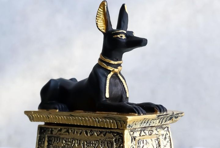 Dogs In Art And Hieroglyphics