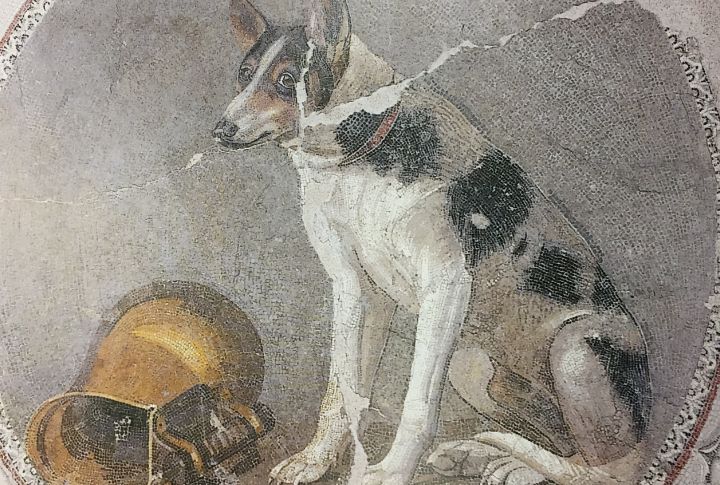 Dogs As Models For Royal Imagery