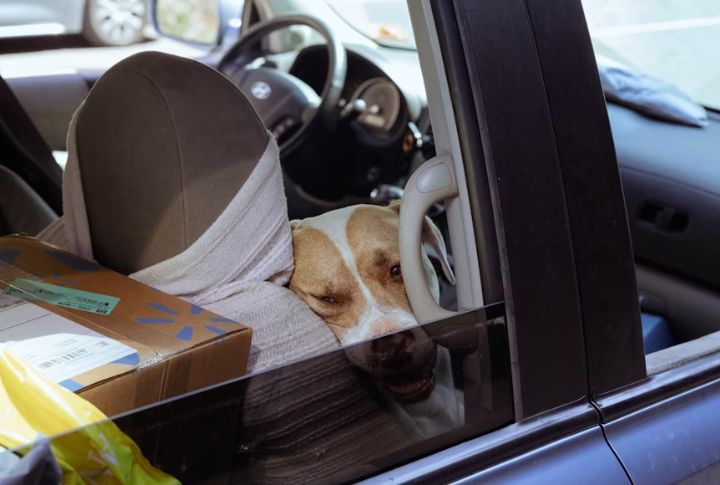 Overpacking The Backseat With Gear