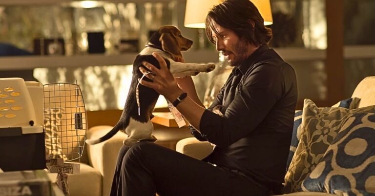 The Real Stars Of John Wick: 10 Dog Moments That Stole The Show