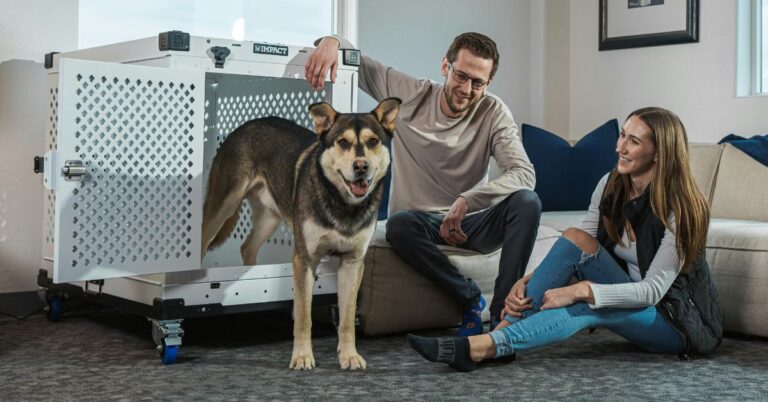 10 Things To Consider Before Putting Your Dog In A Crate