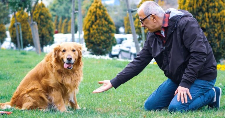 The Joys and Struggles Of Life With A Dog After 60