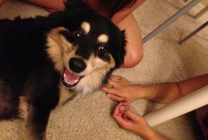 Easy Grooming Routine