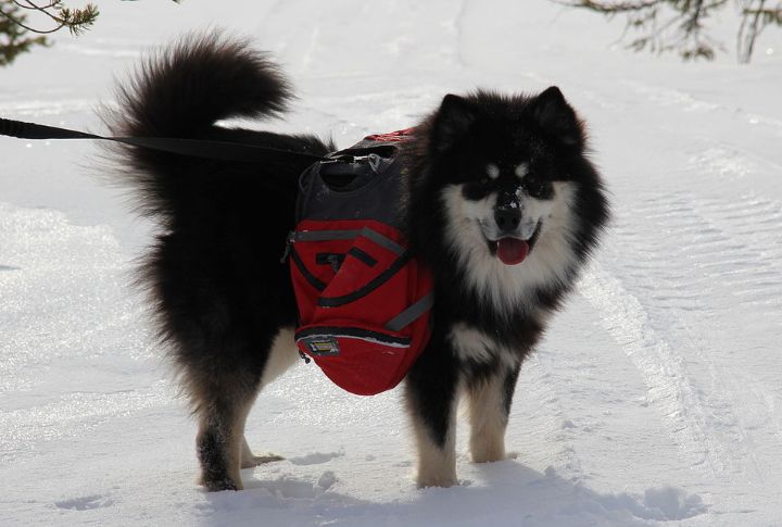 Great In Outdoor Activities