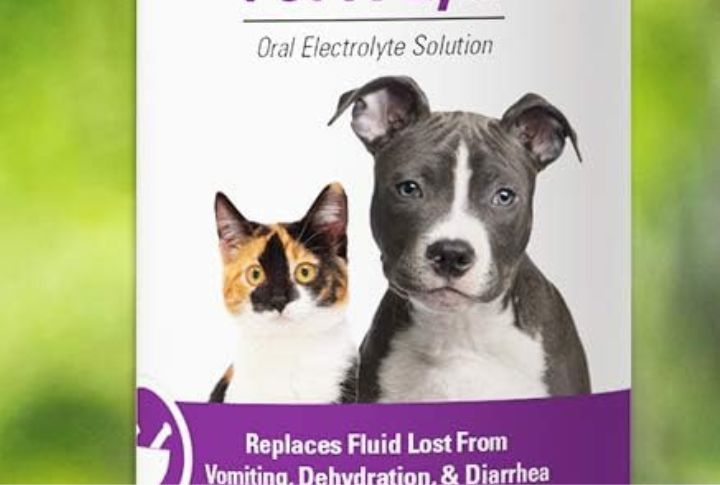 Electrolyte Solutions Made For Dogs