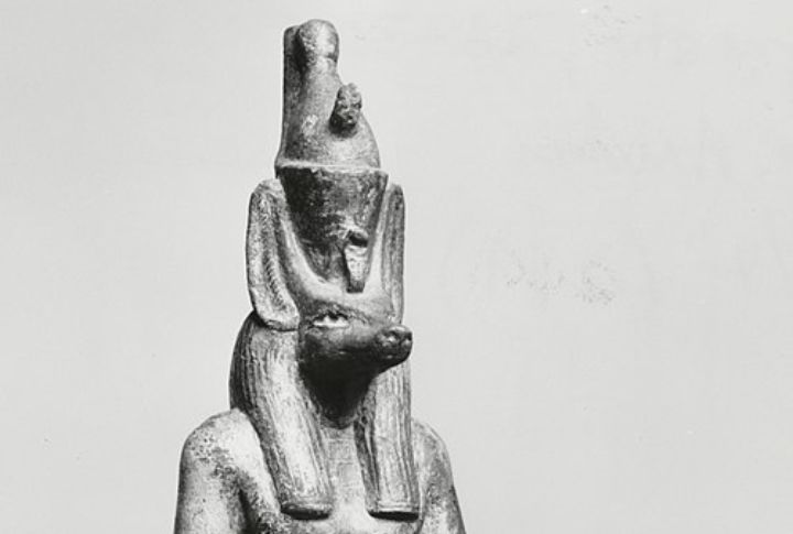 Canine Companions In The Afterlife