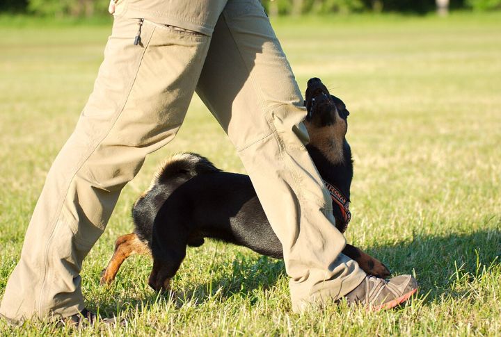 Smooth And Confident Gait