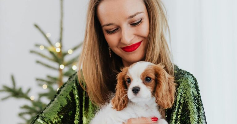 Sweet Spaniel Breeds That Make Life More Lovable
