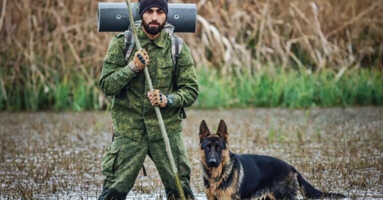 What PTSD Service Dogs Do And Why Veterans Rely On Them