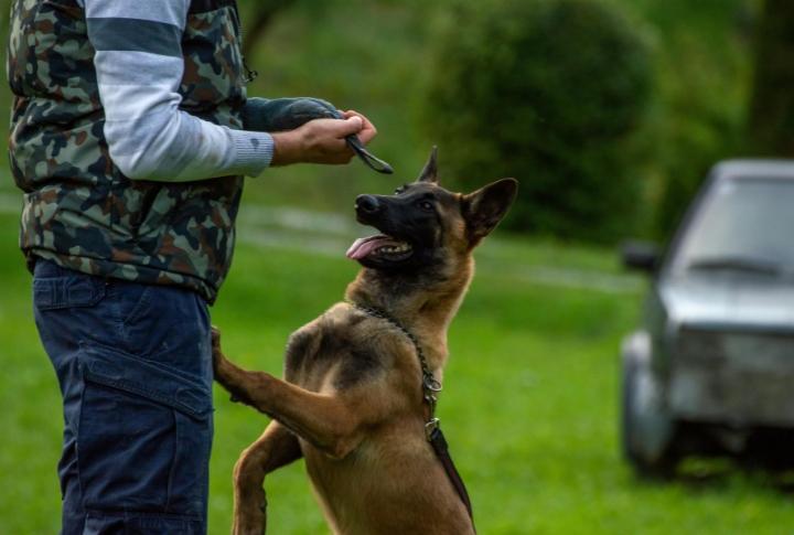 Assisting With Medication And Routine Reminders