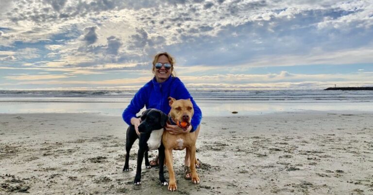 20 Pet-Friendly US Cities That Offer The Best Quality Of Life For Your Furry Friend