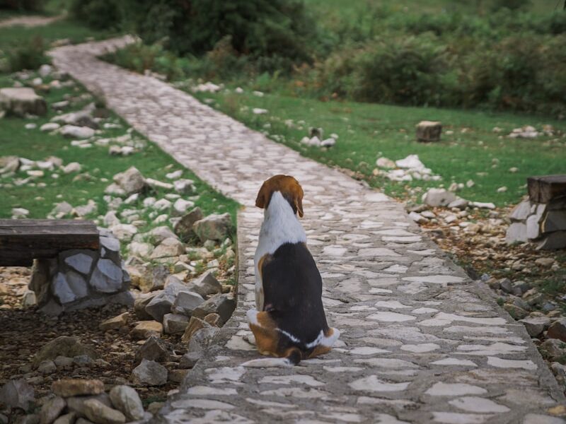 brown and white ceramic bird figurine
