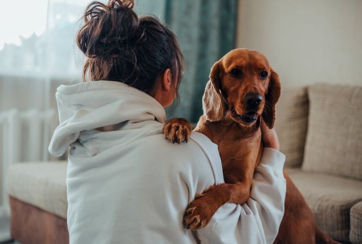 10 Seizure Clues Dog Owners Often Miss