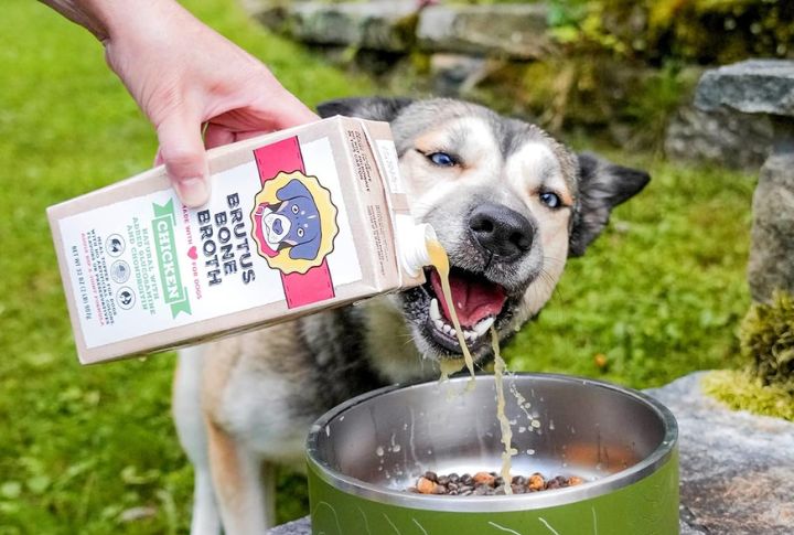 Give Your Dog’s Bowl A Boost With These 10 Toppers