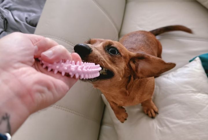 Tug Toys