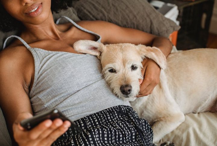 Dogs Love Their Humans—Without Judgement