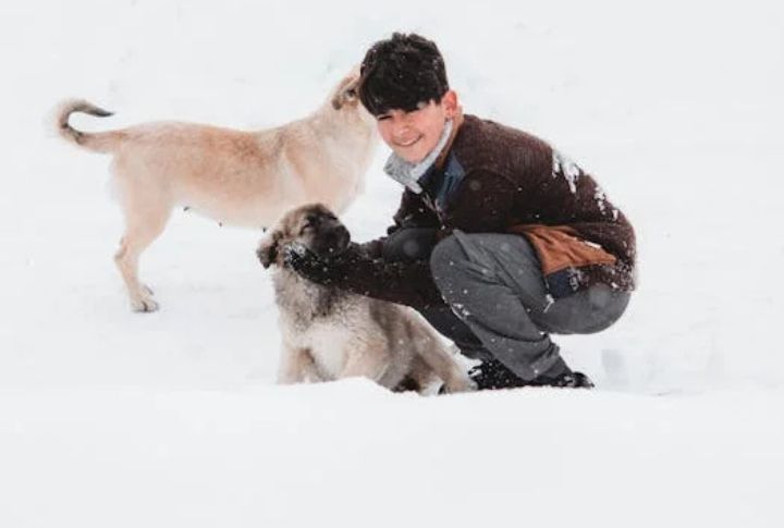 The Gentle Sitter