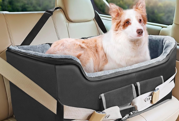 Use Elevated Pet Car Seats With Built-In Liners