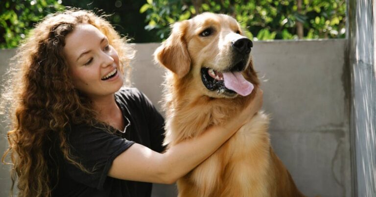 Questions Every Dog Owner Should Ask Before Hiring A Sitter