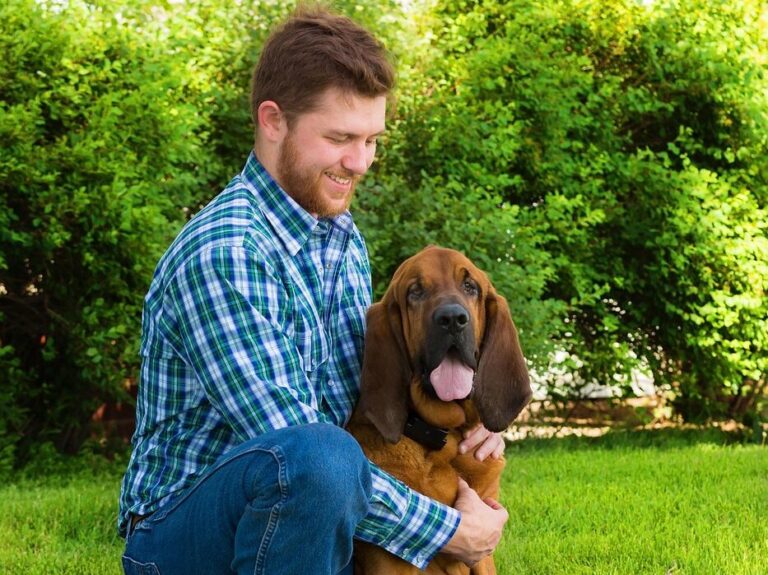 blood hound, nature, man, best friend, dog, together, happiness, pet, animal, breed, canine, outdoors, happy, green happy, green pets, green blood, green happiness, green together